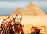 Скоро Выездной Семинар в Египте! 